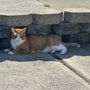 Photo of The Kitty Hotel