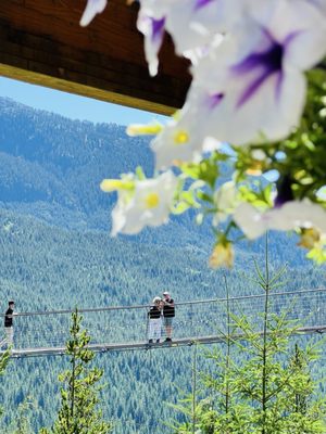 Sea to Sky Gondola by null