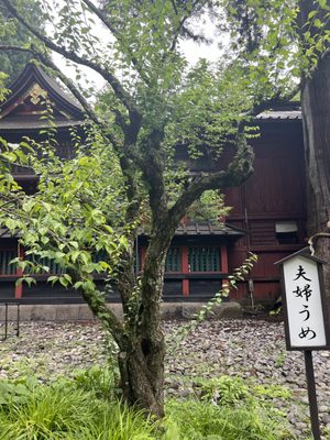 Kitaguchi Hongu Fuji Sengen Shrine by null
