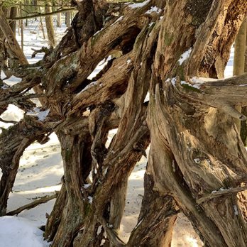 Comeau Trail - Hide & Seek - Hiking Near Me