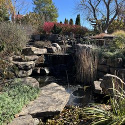 Azaleas Garden Bistro - Beautiful pond and waterfall with koi on the walkway through the garden center to the restaurant