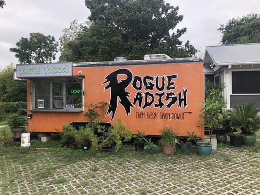 Rogue Radish by null