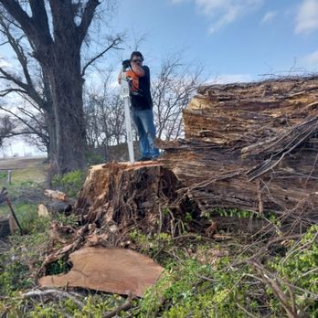 Sampley & Son Tree Experts - Tree Services Near Me Sampley & Son Tree Experts - Tree Services Near Me