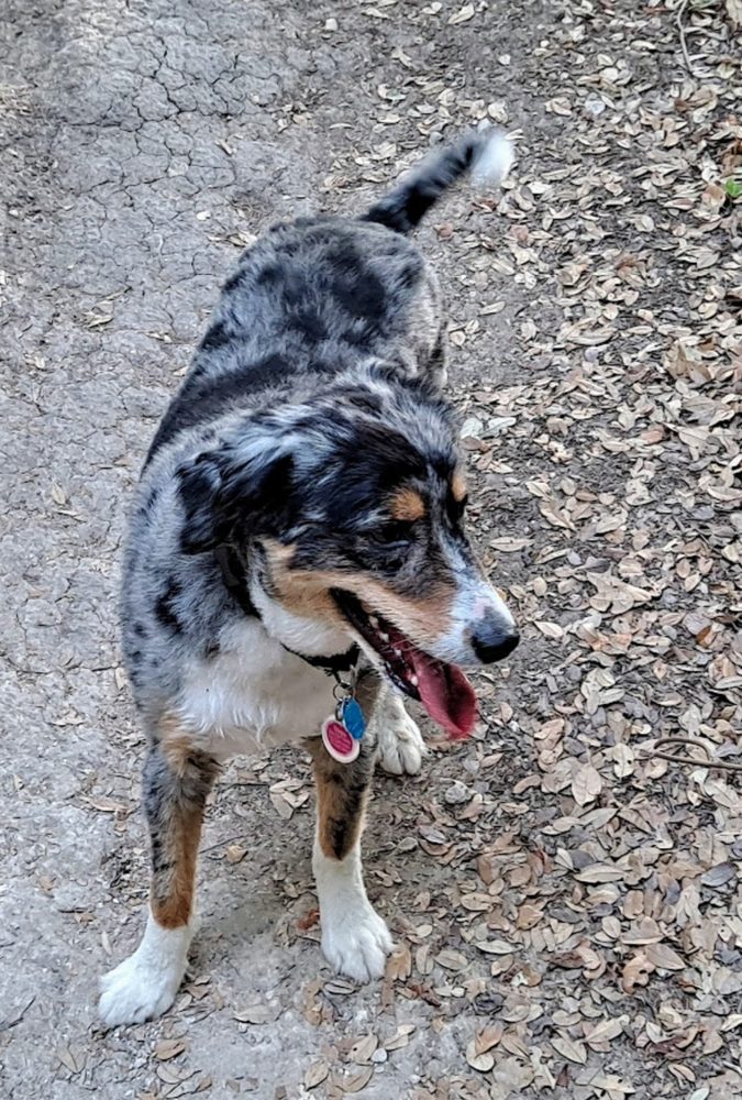 ANEW ERA TMS & PSYCHIATRY AUSTIN Updated July 2024 17 Photos & 60