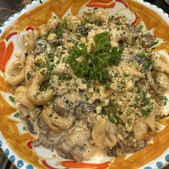 Cesarina - Gemelli pasta with funghi sauce - Italian Near Me - San Diego, California Cesarina - Gemelli pasta with funghi sauce - Italian Near Me - San Diego, California