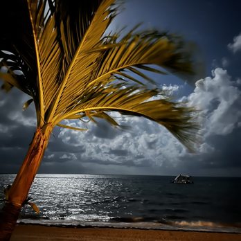 Moon Palace Cancun - Beach at night - Resorts Near Me - Cancún, ROO