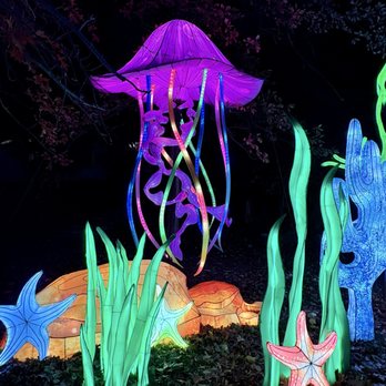 Elite Experience: Dragon Lights Reno - Jellyfish - Yelp Events Near Me - Reno, Nevada