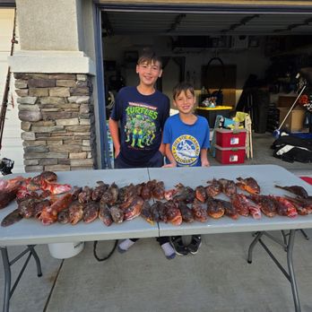 Davey's Locker - Fishing Near Me - Newport Beach, California