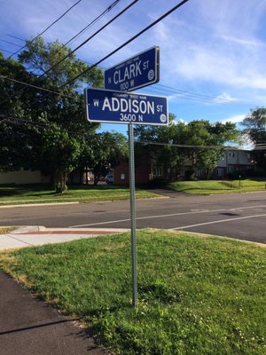 Little Cubs Field by null