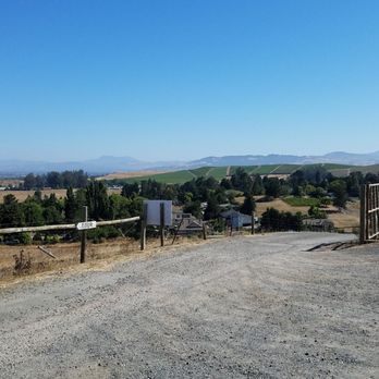 Sonoma County Wildlife Rescue - What a view.... - Animal Shelters Near Me - Petaluma, California Sonoma County Wildlife Rescue - What a view.... - Animal Shelters Near Me - Petaluma, California