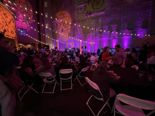 California Museum by null