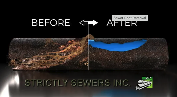 Slide of Strictly Sewers