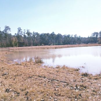 Lake Houston Wilderness Park - Parks Near Me - New Caney, Texas Lake Houston Wilderness Park - Parks Near Me - New Caney, Texas