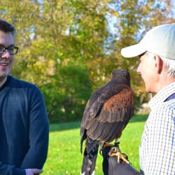Green Mountain Falconry School