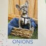 Photo of Wolf River Pet Hospital