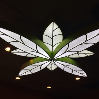 Juice It Up! - Coolest light ever - Juice Bars & Smoothies Near Me - Albuquerque, New Mexico