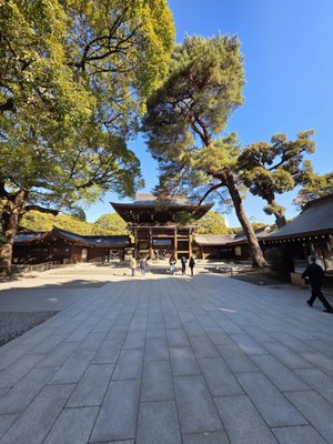 Meiji Jingu by null