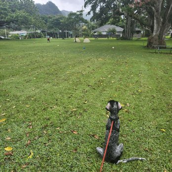Alpha K-9 Kennels - Practicing techinques in the park. - Pet Training Near Me - Hakalau, Hawaii Alpha K-9 Kennels - Practicing techinques in the park. - Pet Training Near Me - Hakalau, Hawaii