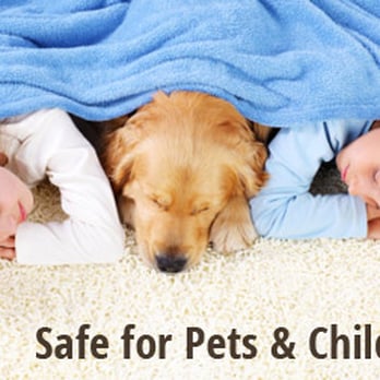 Heaven's Best Carpet Cleaning Pendleton - Carpet Cleaning Near Me - Pendleton, Oregon Heaven's Best Carpet Cleaning Pendleton - Carpet Cleaning Near Me - Pendleton, Oregon