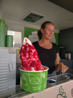 Gutta på Haugen by null