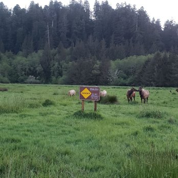 Elk Meadow - Parks Near Me - Orick, California