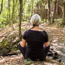 Conscious Movements - Blending Mindfulness, Embodiment, and Nature
