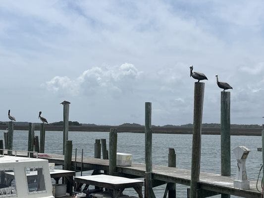 Crosby's Fish & Shrimp Co. by null