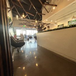 Rolling Monkey - Some of the seating