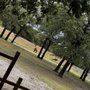 Photo of The Little House at Red Oaks Ranch