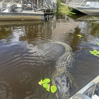 gator park - Boat Tours Near Me - Miami, Florida