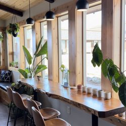Great Gray Gifts - Interior with lots of plants