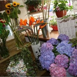 Jennifer Gilroy Florist