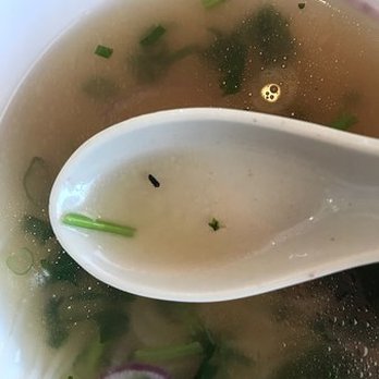 Pho Ngon Dat Viet - Tiny bugs in the Special Pho soup. - Vietnamese Near Me - Toronto, Ontario Pho Ngon Dat Viet - Tiny bugs in the Special Pho soup. - Vietnamese Near Me - Toronto, Ontario