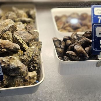Tognazzini's Dockside Too - a display of oysters - Seafood Near Me - Morro Bay, California