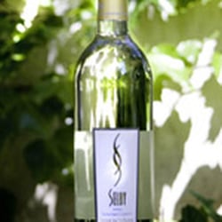 Selby Winery Tasting Room - Selby Sauvignon Blanc