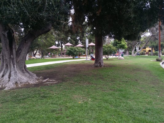 Harold A Henry Park by null