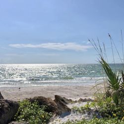 Care Net Manasota Pregnancy Center - Our Community that serves Care Net Manasota Pregnancy Center Clients