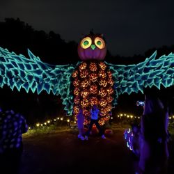 Pumpkin Nights - This was a stunning display