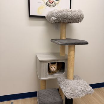 Epic Pet Center - Veterinarians Near Me - Laguna Niguel, California Epic Pet Center - Veterinarians Near Me - Laguna Niguel, California