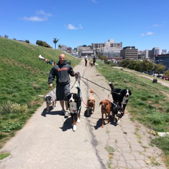SF Dog Buddy - Better you than me Gabe, thank you. - Dog Walkers Near Me SF Dog Buddy - Better you than me Gabe, thank you. - Dog Walkers Near Me