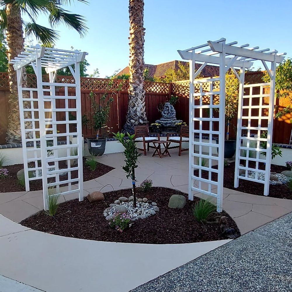 Mateos Landscaping - a palm tree in the middle of a garden - Landscaping Near Me Mateos Landscaping - a palm tree in the middle of a garden - Landscaping Near Me