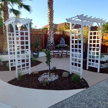 Mateos Landscaping - a palm tree in the middle of a garden - Landscaping Near Me