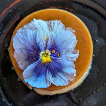 Cielo Rojo - Delicious vegan flan! - Mexican Near Me - Takoma Park, Maryland Cielo Rojo - Delicious vegan flan! - Mexican Near Me - Takoma Park, Maryland
