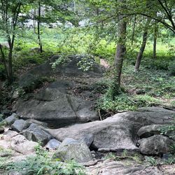 Fisher Park