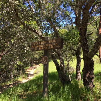 Yolanda Trail - Hiking Near Me - Ross, California Yolanda Trail - Hiking Near Me - Ross, California