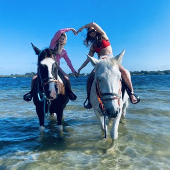 Florida Beach Horses - Beaches Near Me - Bradenton, Florida