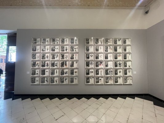 Museo Casa Montejo by null