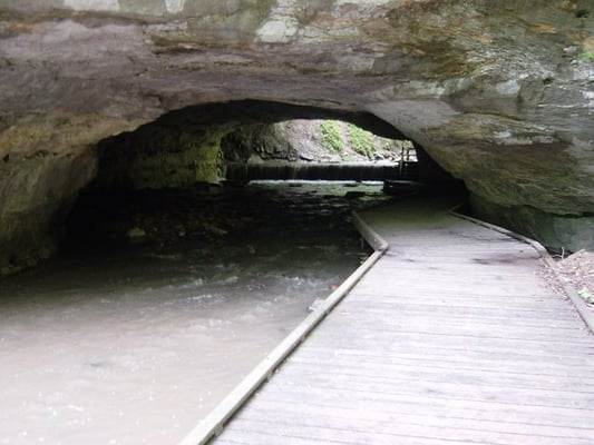 Rock Bridge Memorial State Park by null