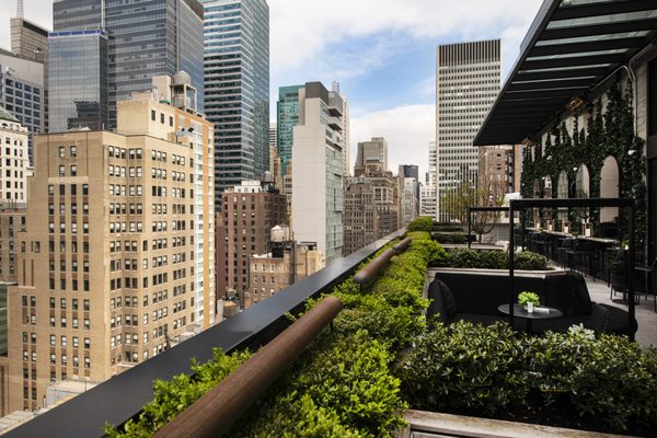 Castell Terrace by null