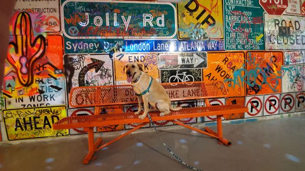 Recycled Propaganda by null